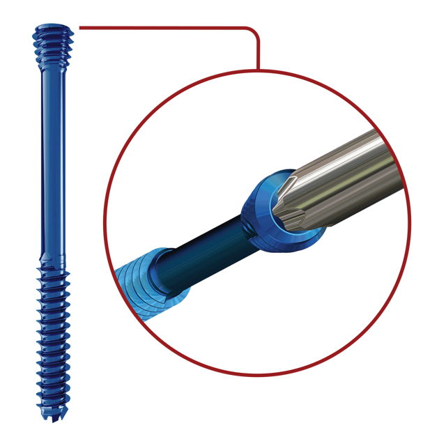 Torx Drive