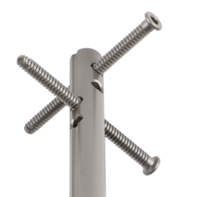 PA and ML Distal Screw Placement