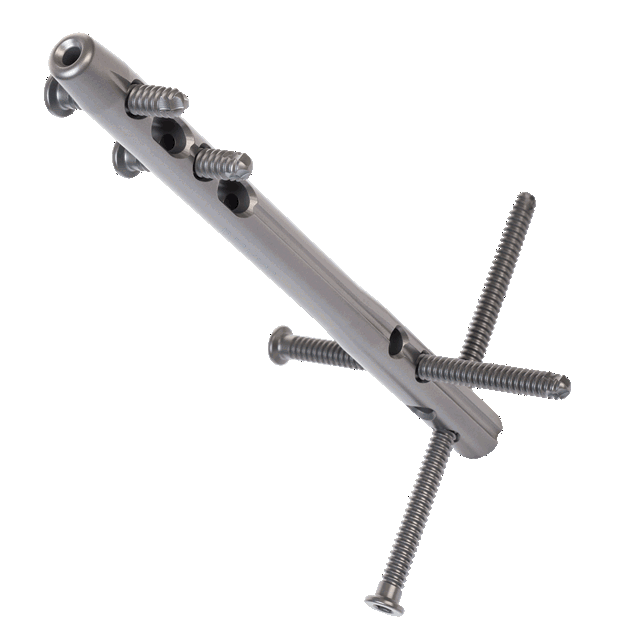 Titanium Alloy (Ti6Al4V) – Type II anodised