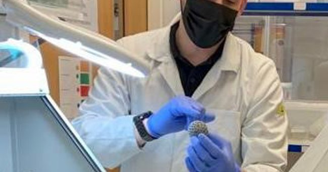 Labour Standards Assurance Policy & Management System