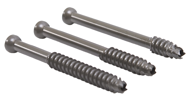 Cannulated Screw System