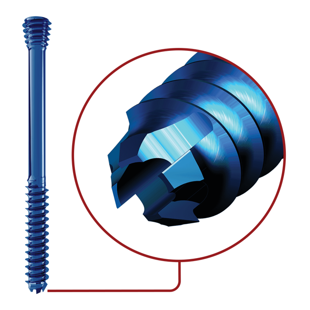 Self-Drilling & Self-Tapping